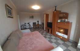 Apartament spatios, 70 mp, Pantelimon