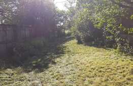 Casa de vanzare cu 1450 mp teren, Lipia!