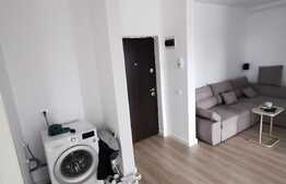 Apartament de 2 camere, terasă de 100 mp, Titan