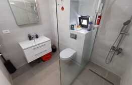 Apartament de 2 camere, terasă de 100 mp, Titan