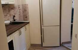 Apartament de lux, 2 camere, zona Parcul Carol!