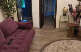 Apartament de lux, 2 camere, zona Parcul Carol!