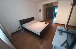 Vilă, de 150 mp utili, finalizată în 2014, Balotești 