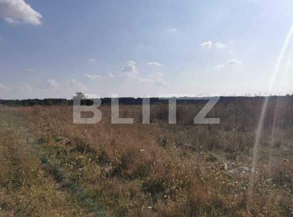 Teren de vânzare Voluntari - 72033TV | BLITZ București | Poza3