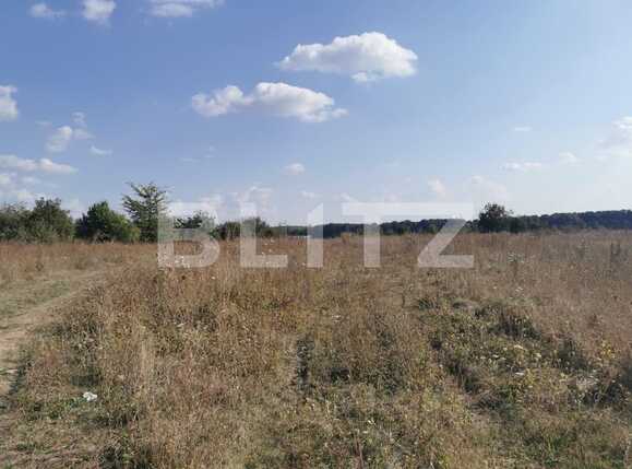 Teren de vânzare Voluntari - 72033TV | BLITZ București | Poza2