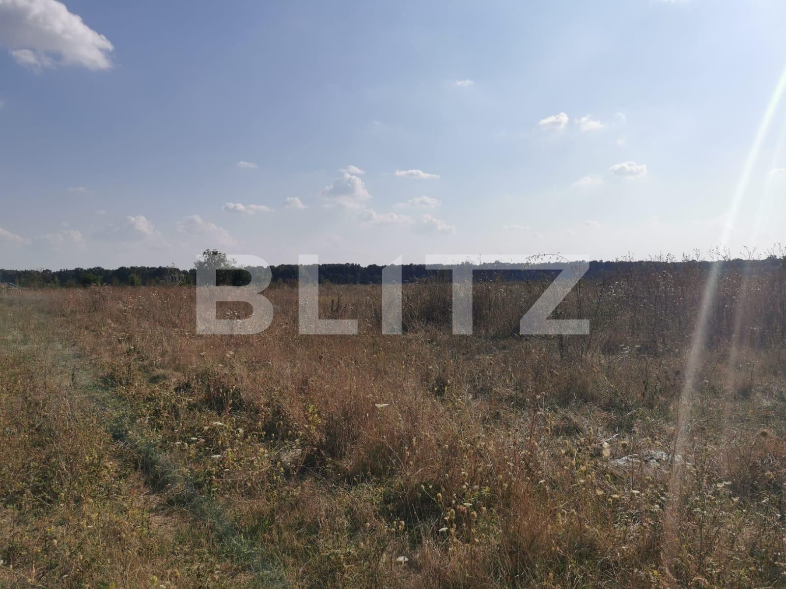 Teren de vânzare Voluntari - 72033TV | BLITZ București | Poza3