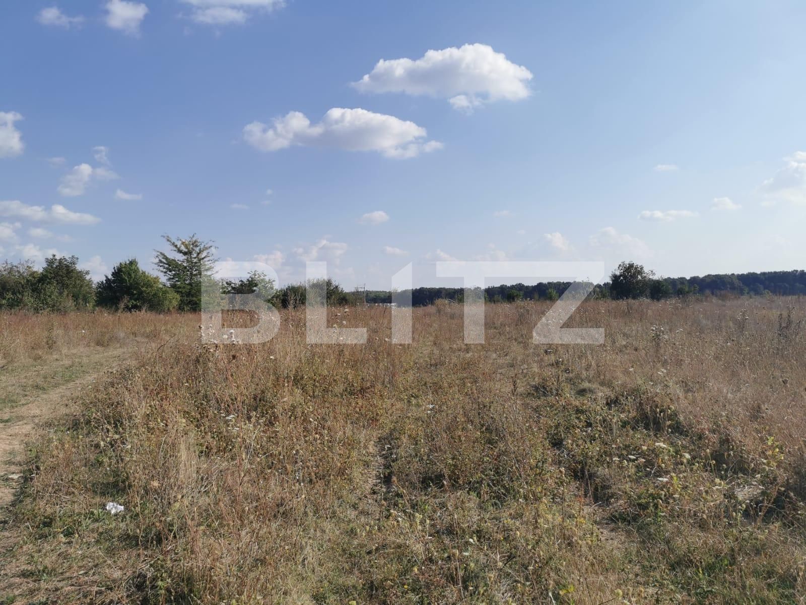 Teren de vânzare Voluntari - 72033TV | BLITZ București | Poza2