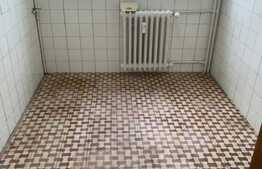 Apartament de 3 camere, 65 mp, priveliste frumoasa, Lacul Tei