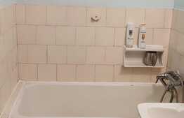 Oportunitate investiție! Apartament de 2 camere zona Piața Romană