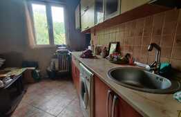 Apartament de 3 camere, decomandat, langa Parcul Moghioros