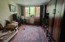 Apartament de 3 camere, decomandat, langa Parcul Moghioros