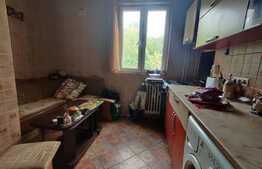 Apartament de 3 camere, decomandat, langa Parcul Moghioros