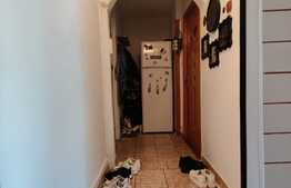 Apartament de 3 camere, semidecomandat, izolat interior, Raul Doamnei