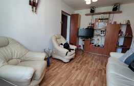 Apartament de 3 camere, semidecomandat, izolat interior, Raul Doamnei