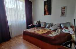 Apartament de 3 camere, semidecomandat, izolat interior, Raul Doamnei