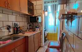 Apartament de 3 camere, semidecomandat, izolat interior, Raul Doamnei