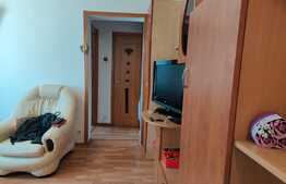 Apartament de 3 camere, semidecomandat, izolat interior, Raul Doamnei