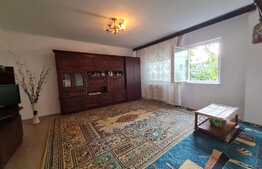 Apartament de vanzare, 2 camere in zona Baicului, Bucuresti