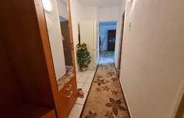 Apartament de vanzare, 2 camere in zona Baicului, Bucuresti