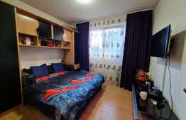 Apartament 2 camere langa Parcul Florilor, Bucuresti