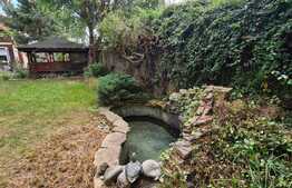 Vila spatioasa de 320 mp cu 7 camere, 4 bai si piscina in Balotesti