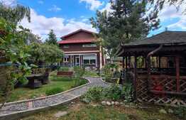 Vila spatioasa de 320 mp cu 7 camere, 4 bai si piscina in Balotesti