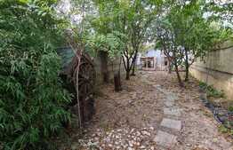 Vila spatioasa de 320 mp cu 7 camere, 4 bai si piscina in Balotesti