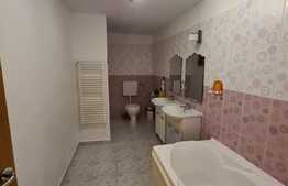 Vila spatioasa de 320 mp cu 7 camere, 4 bai si piscina in Balotesti