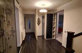 Vila spatioasa de 320 mp cu 7 camere, 4 bai si piscina in Balotesti