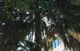 Apartament 3 camere, Bucuresti Noi, zona Chitila