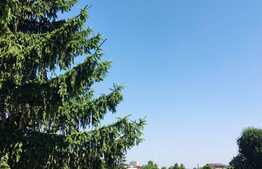 Apartament de 3 camere, balcon, imobil nou, zona Chitila!