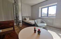 Studio de 38 mp, zona Mihail Kogalniceanu