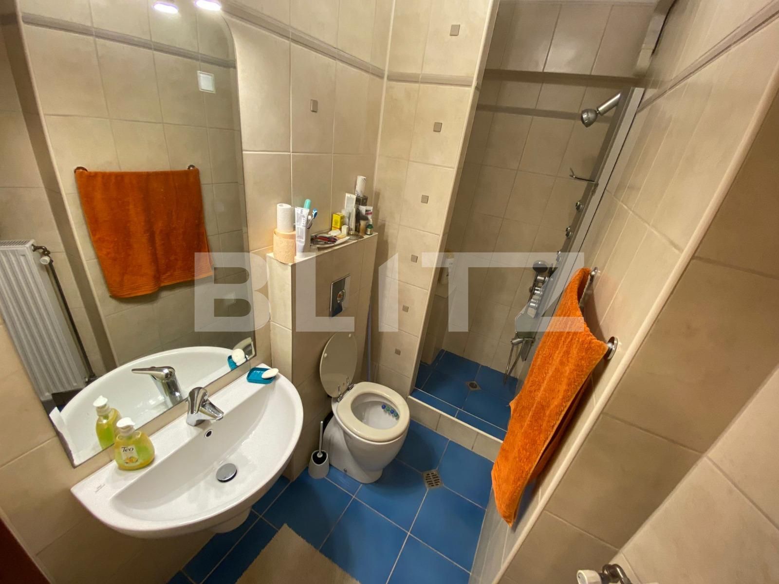 Apartament de închiriat 4 camere Stefan cel Mare - 73048AI | BLITZ București | Poza16