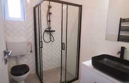 Apartament 2 camere, 60 mp, Central, zona Udriste, curte 52 mp!  