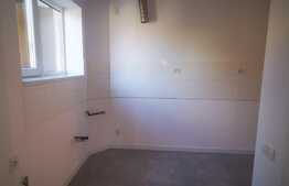 Apartament 2 camere, 60 mp, Central, zona Udriste, curte 52 mp!  