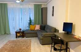 Apartament superb, 2 camere si curte privata, in zona Pipera, Iancu Nicolae