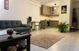 Apartament superb, 2 camere si curte privata, in zona Pipera, Iancu Nicolae