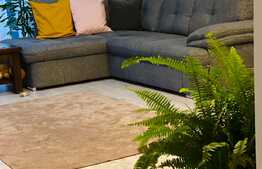 Apartament superb, 2 camere si curte privata, in zona Pipera, Iancu Nicolae