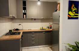 Apartament superb, 2 camere si curte privata, in zona Pipera, Iancu Nicolae