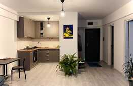 Apartament superb, 2 camere si curte privata, in zona Pipera, Iancu Nicolae