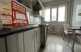 Apartament 2 camere, 55 mp,  ideal investite, zona Titan