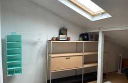 Apartament in imobil tip duplex, 9 camere, 190 mp, garaj, curte, Ultracentral! 