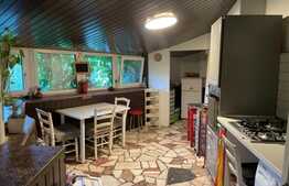 Apartament in imobil tip duplex, 9 camere, 190 mp, garaj, curte, Ultracentral! 