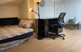 Apartament in imobil tip duplex, 9 camere, 190 mp, garaj, curte, Ultracentral! 