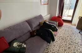 Apartament 3 camere cu loc de parcare, semidecomandat, Bucurestii Noi-Pajura! 