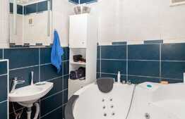 Apartament spatios de 3 camere, renovat complet, zona Vitan!