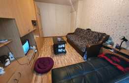 Garsoniera decomandata, 27 mp, ideal investitie, zona Dristor!