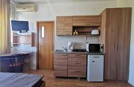 COMISION 0%! Garsonieră ideală pentru investiție în regim AirBnb! Priveliște spectaculoasă!