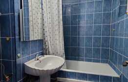 Apartament de 3 camere, zona Favorit, langa parcul Moghioros