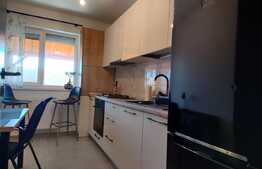 Apartament de 3 camere, 76 mp utili, curte,  Berceni